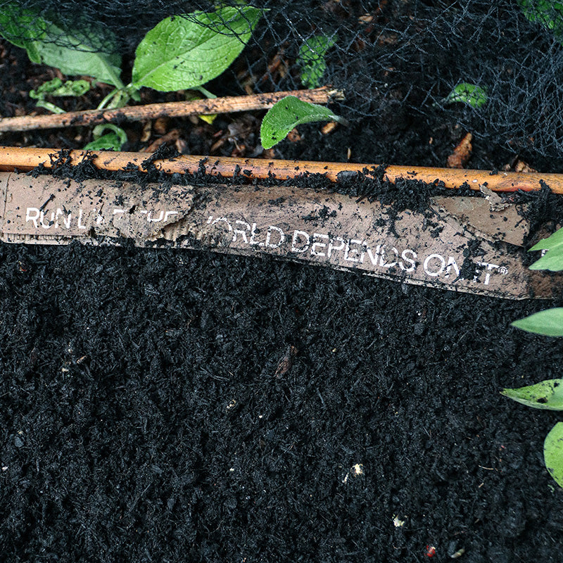 Sustainability initiatives