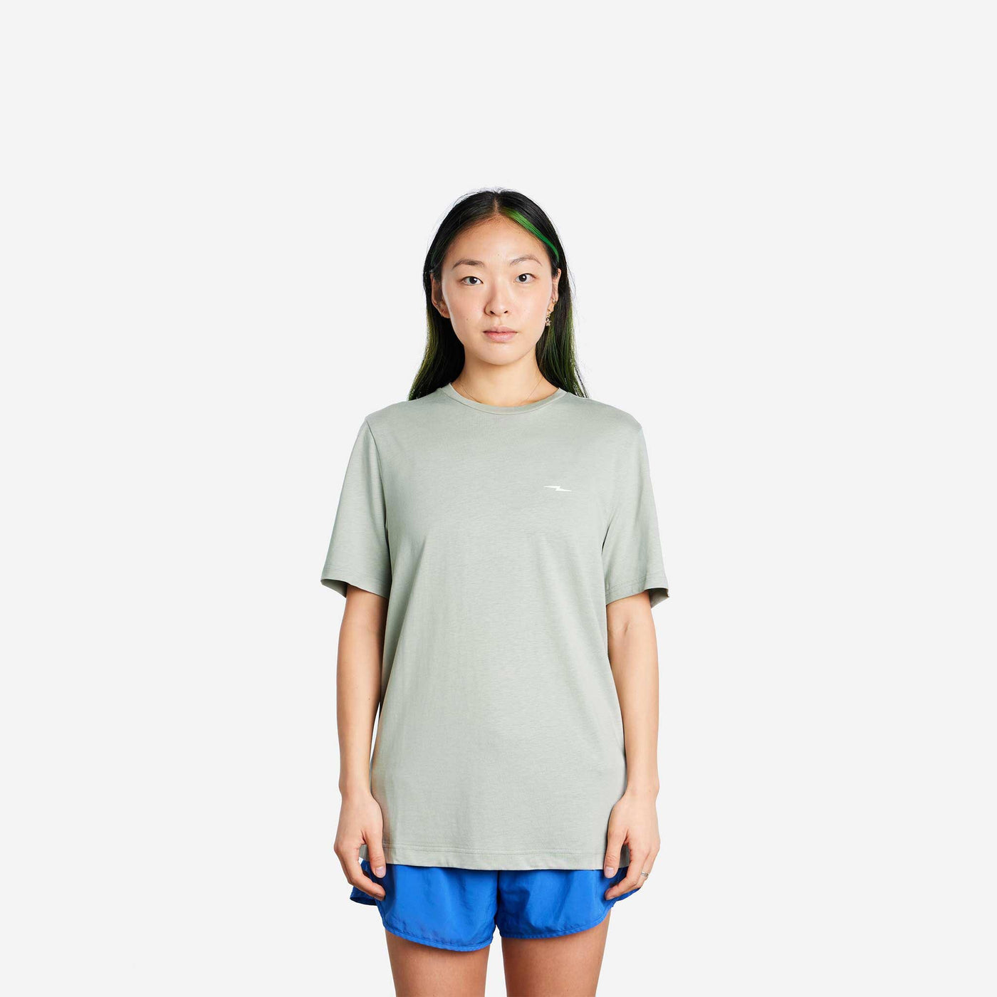 model-main