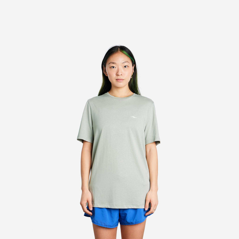 model-main