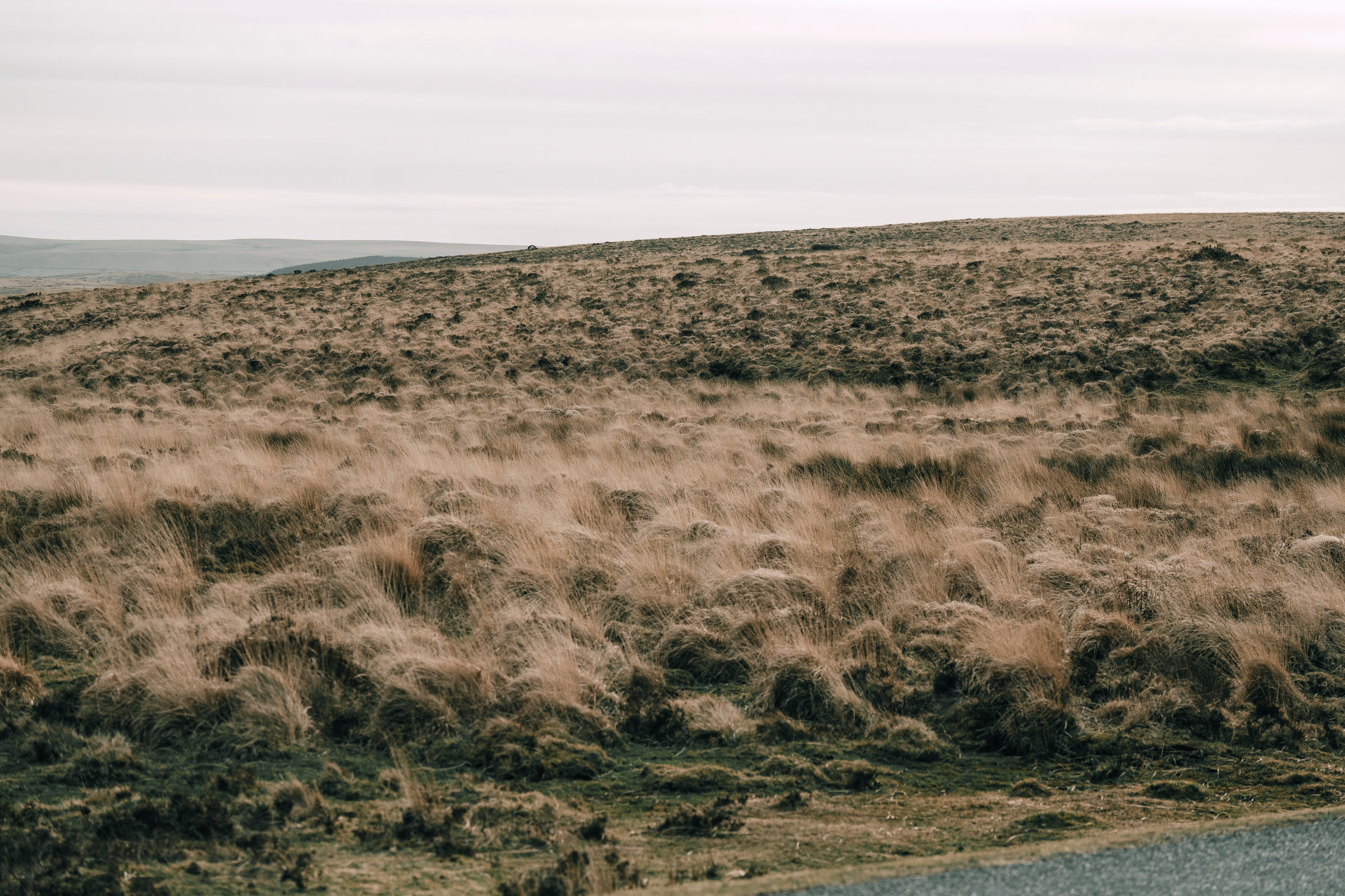 WE AREN'T PERFECT. BUT WE ARE IMPATIENT