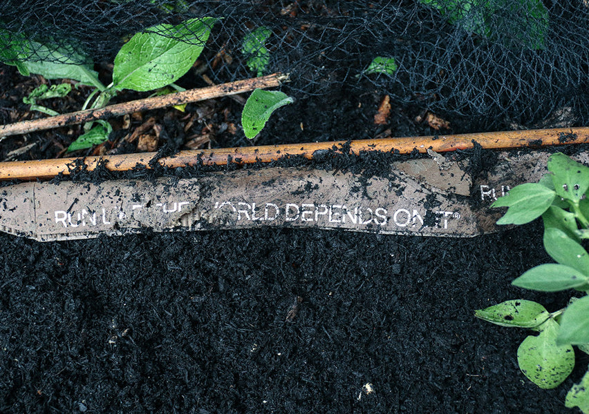 The Shoe Box Community Garden