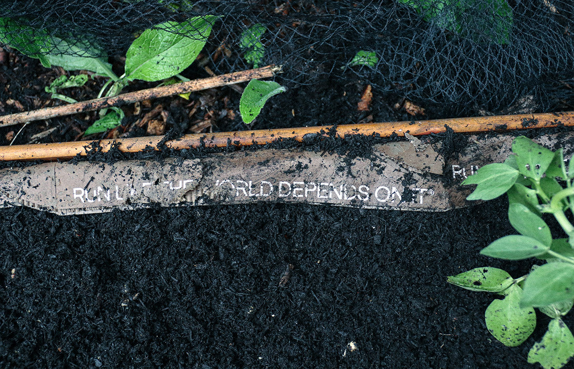 The Shoe Box Community Garden