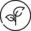 Vegan & B Corp certified
